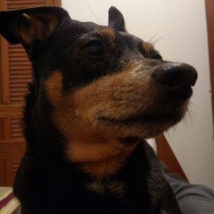 Meet your Posher, Robert